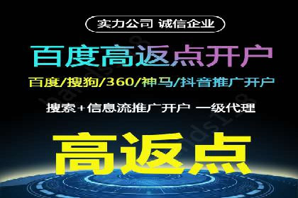 百度广告投放技巧与案例分享